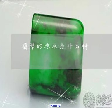 凉水翡翠价值-凉水翡翠价值多少