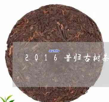 2016年归昔生茶-昔归生茶2017年价格