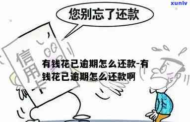 【图片】有钱花逾期还款详细流程