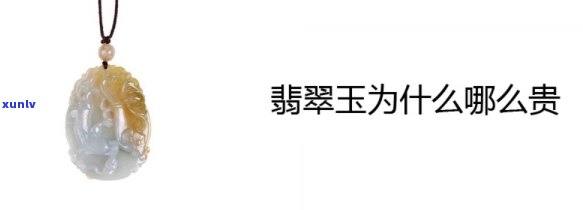 云南原生态8811号普洱茶：口感醇厚，回味悠长的新选择