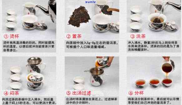 云南古树茶冲泡 *** 详解与视频教学