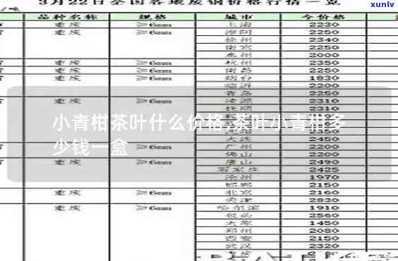 世茗家润香小青柑价格表及清香型小青柑价格一览