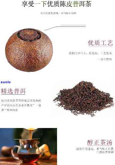 世茗家陈皮普洱茶价格表及评价全览