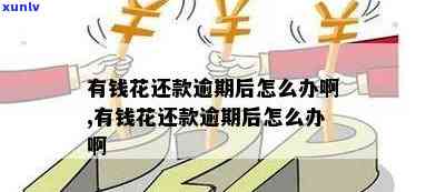 有钱花逾期还款流程详解：步骤、作用及解决方案