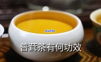 普茸生茶怎么喝-普茸生茶的好处