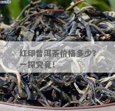 勐乐山红印：普洱熟茶饼价格全览