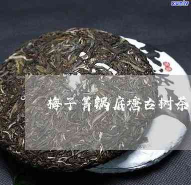 子箐锅底塘古树茶-子箐锅底塘古树茶价格