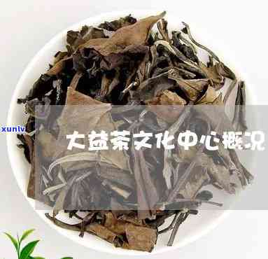 大益茶文化中心概况-大益茶文化中心概况介绍