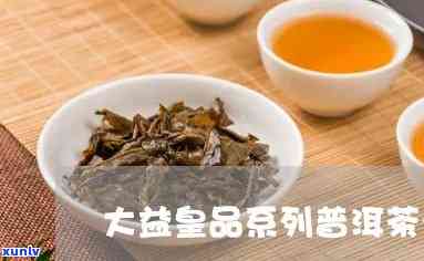 大益皇茶会系列茶：详细介绍及品种种类