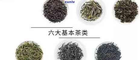 大益皇茶会系列茶：详细介绍及品种种类