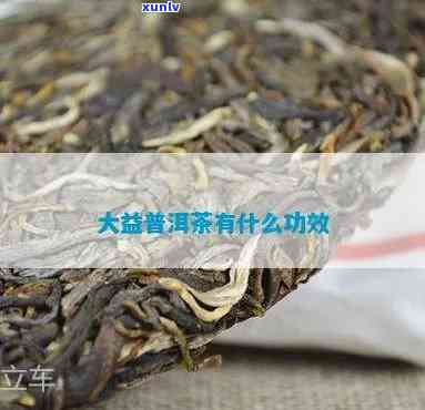 大益茶的好处：详细解析与说明