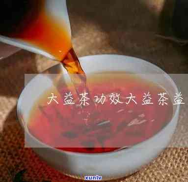 大益茶的好处是什么-大益茶的好处是什么意思