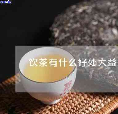 大益茶的好处是什么-大益茶的好处是什么意思