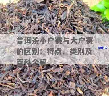 小户赛与昔归的区别，探秘茶叶世界：小户赛与昔归的口感与区别