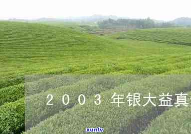 2003金大益真假-03年金大益真假