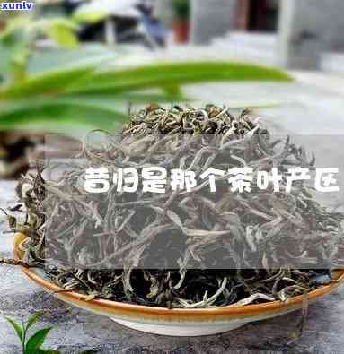 昔归属于哪里的茶区-昔归属于哪个茶区