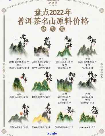 大益山韵现在什么价-大益山韵现在什么价格了