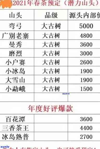 景迈古树茶2022-2023年价格走势分析，多少钱一斤？