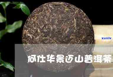 03何仕华景迈茶：厂家、资料全解析