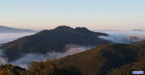 景迈属于哪个产区，探寻茶文化之旅：揭秘“景迈”所在的云南普洱茶产区