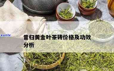 昔归黄金叶茶价格及功效全解析