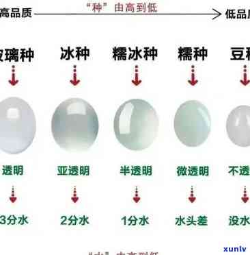 冰种翡翠级别的全面解析：等级划分与特征介绍