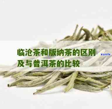 澜沧和临沧茶的口感对比，口感对决：澜沧与临沧茶的区别与特点