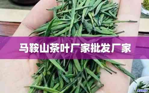 临沧马鞍山茶多少一斤，《探寻临沧马鞍山茶的市场价格》