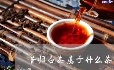 昔归茶属于什么茶区-昔归茶属于哪个茶区