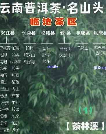 临沧茶区和勐海茶区对比，《揭秘中国两大知名茶产区：临沧茶区与勐海茶区的异同》