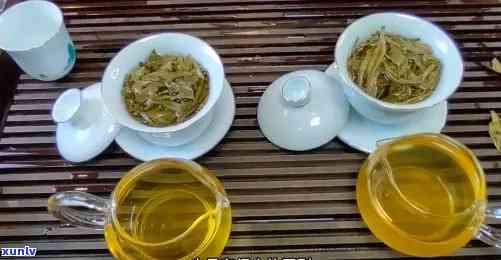 临沧茶与勐海茶区别-临沧茶与勐海茶区别边个品质好