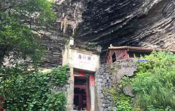 古道问茶喜悦，古道问茶，品味喜悦的旅程