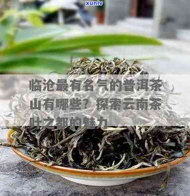 临沧4大名茶，探寻云南风味：临沧四大地名茶的魅力