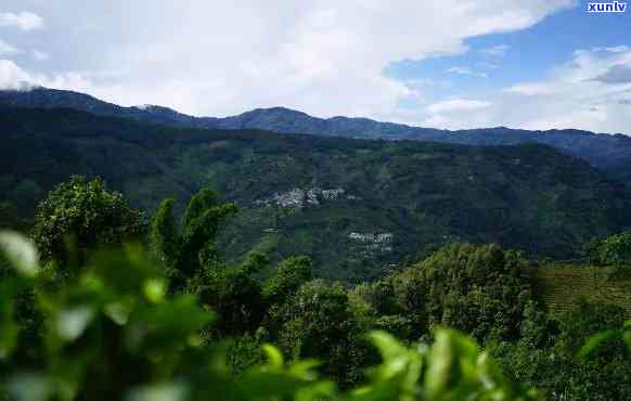 云南临沧名茶山，探秘云南临沧名茶山：品味大自然的馈赠