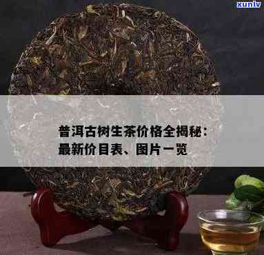 最新！临沧古树普洱茶生茶价格全览及查询