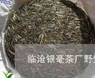 临沧银毫茶厂野生茶-临沧银毫茶厂怎么样