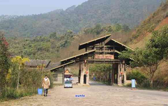 云南省西双版纳古六大茶山，探秘云南西双版纳古六大茶山，品味千年茶文化的独特魅力