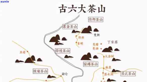 六大茶山与勐海茶厂的关系：历、生产及影响