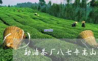  '六大茶山勐海普洱茶厂75426' 生产优质普洱茶，源自云南六大茶山茶业勐海普洱茶厂