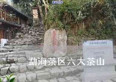 六大茶山跟勐海茶厂-六大茶山跟勐海茶厂哪个好