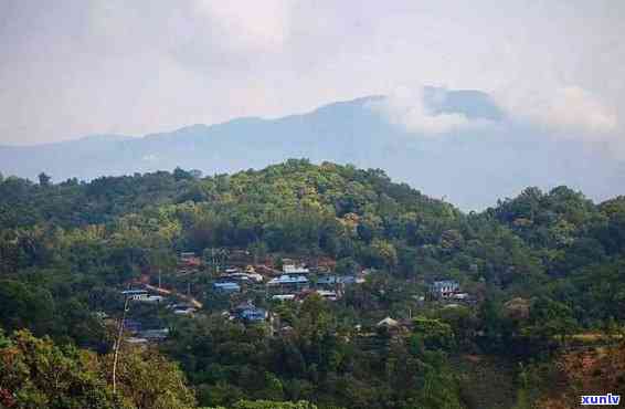 南糯山是新六大茶山-南糯山是新六大茶山之一吗