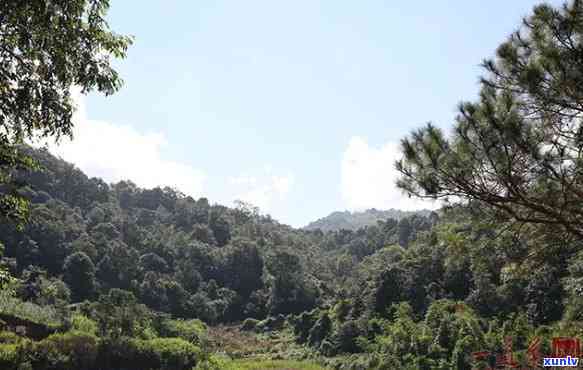 南糯山是新六大茶山-南糯山是新六大茶山之一吗