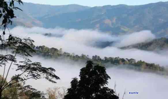 南糯山是新六大茶山-南糯山是新六大茶山之一吗