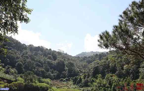 南糯山是新六大茶山-南糯山是新六大茶山之一吗