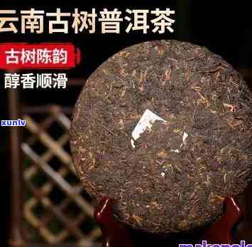 明前古树普洱茶，品味历韵味：探索明前古树普洱茶的魅力