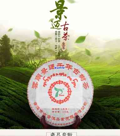 景迈正山古树春茶饼-景迈正山千年古茶