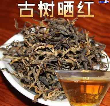 古树红茶饼保质期一般为多久？请看详细介绍