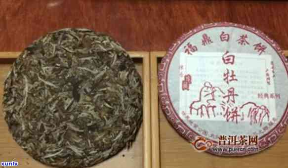 福鼎茶饼哪个品种好-福鼎茶饼哪个品种好喝