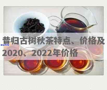 2022年昔归古树茶价格多少？了解其档次与市场价值