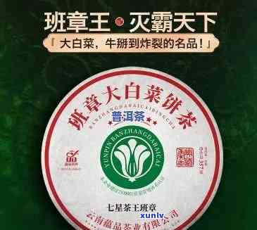 大白菜茶饼价格查询官网：一站式获取最新价格信息